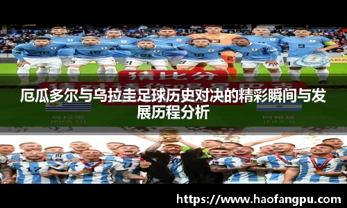 bsports必一体育