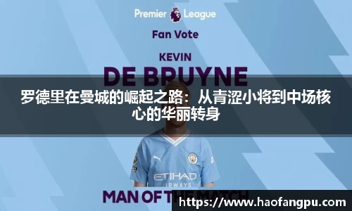 必一bsports体育