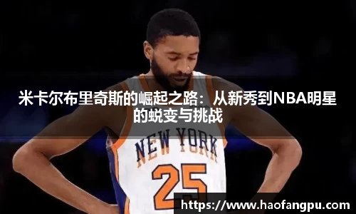 必一bsports体育