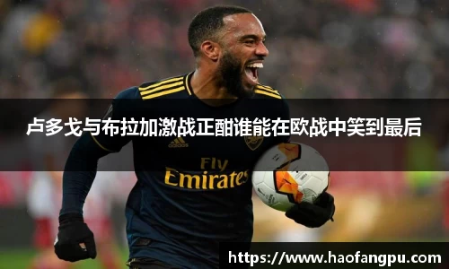 bsports必一体育